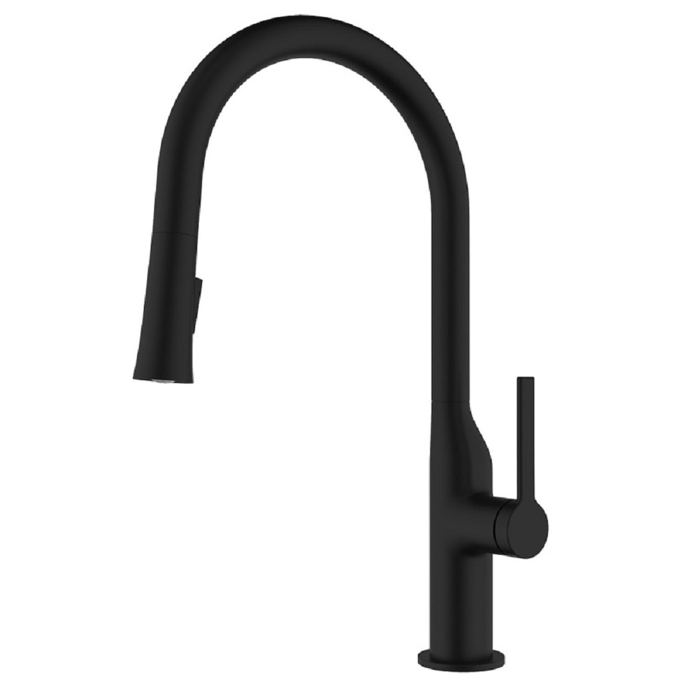 Смеситель для кухни Azario Vincente Черный матовый AZ-VPV569064PA Смеситель для кухни Azario Vincente Черный матовый AZ-VPV569064PA
