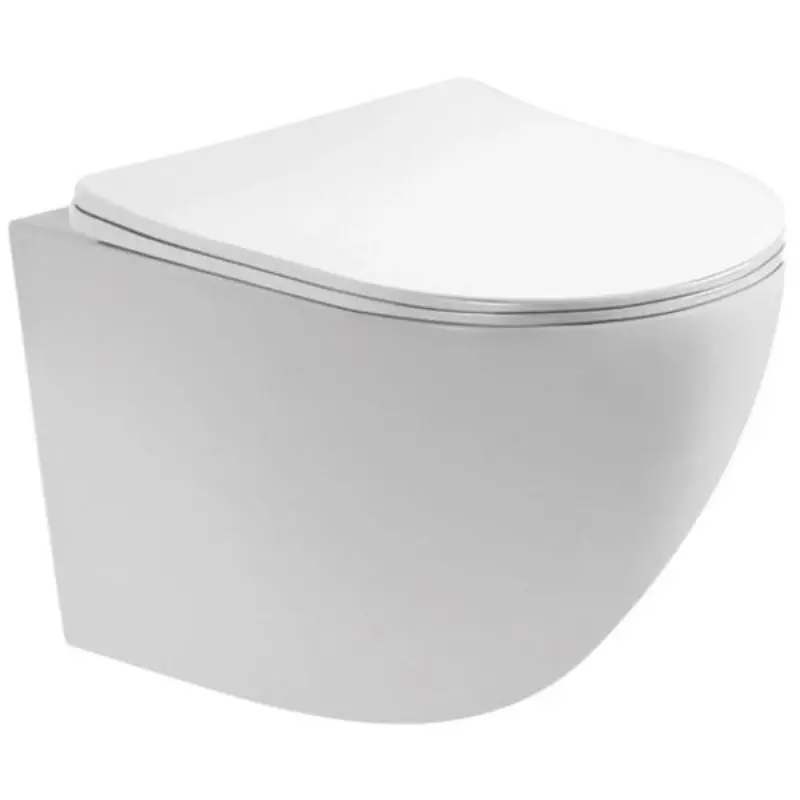 Унитаз подвесной Aquatek Европа с крышкой-сиденье Белый AQ1900-00 Унитаз подвесной Aquatek Европа с крышкой-сиденье Белый AQ1900-00