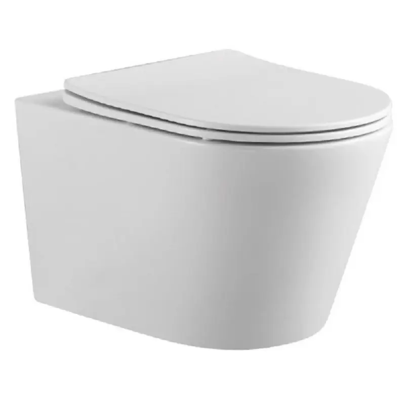 Унитаз подвесной Aquatek Вега с крышкой-сиденье Белый AQ1905-00 Унитаз подвесной Aquatek Вега с крышкой-сиденье Белый AQ1905-00