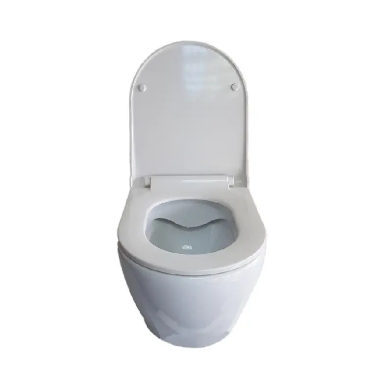 Унитаз подвесной Turavit Rondo с крышкой-сиденье Белый RND 5512+0411/2403 Унитаз подвесной Turavit Rondo с крышкой-сиденье Белый RND 5512+0411/2403 — изображение 2