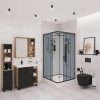 Душевая кабина Niagara Premium 90х90 Черный / Тонированное NG-6901-01GQBLACK — изображение 2